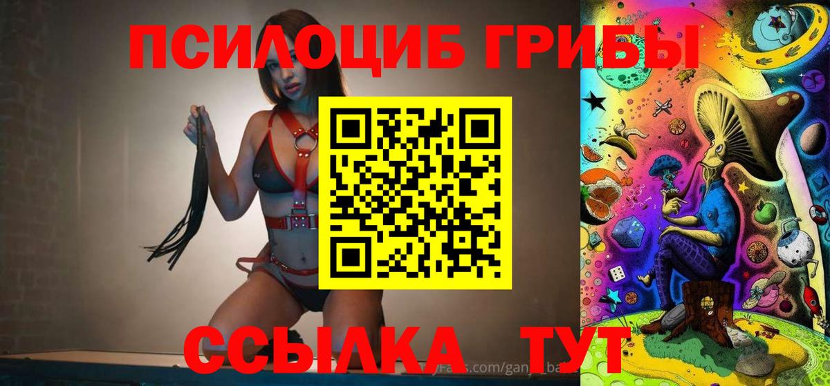 Каменка  Псилоцибиновые грибы Magic Shrooms  Вход с VPN 