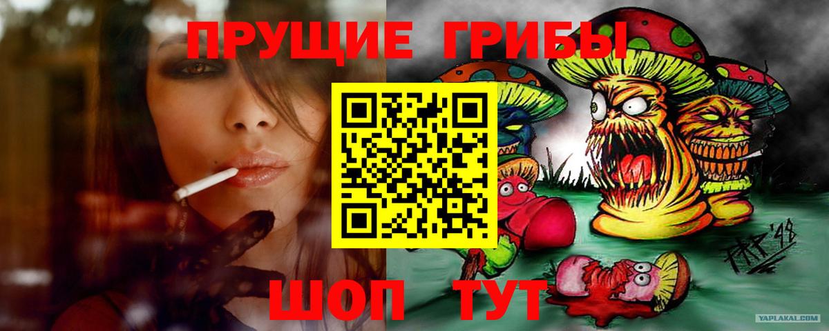 Псилоцибиновые грибы MAGIC MUSHROOMS Каменка
